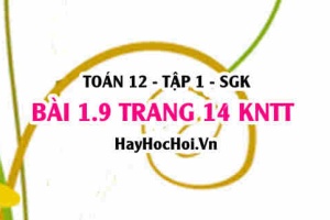 Bài 1.9 trang 14 Toán 12 tập 1 Kết nối tri thức